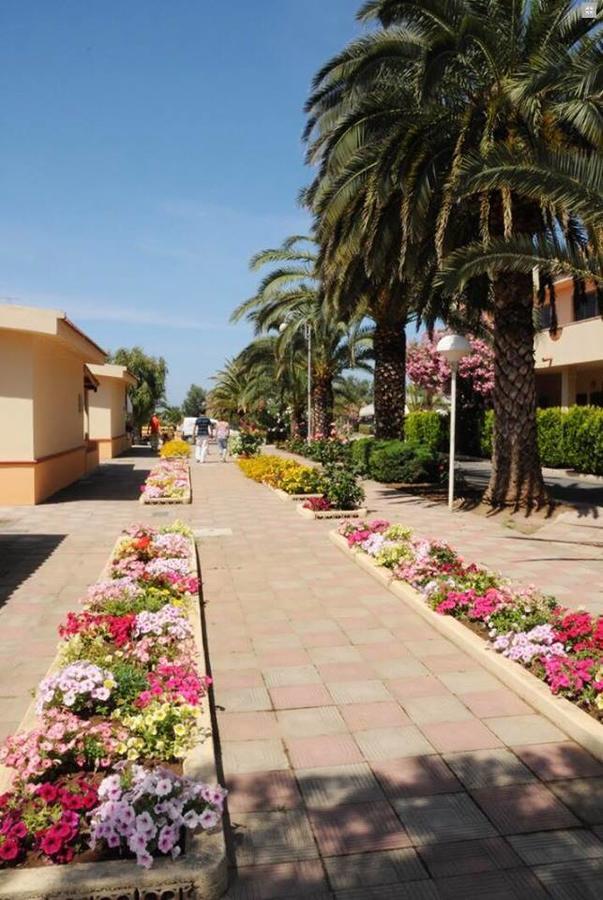 Hotel Summer Day Village Santa Maria Del Cedro Exterior photo